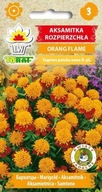 Aksamietnica rozložitá Orange Flame 1g TORAF