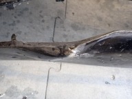 bumper front front VOLVO XC90 II LIFT 2025- 32345711