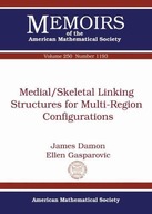 Medial/Skeletal Linking Structures for