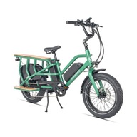 Elektrobicykel CARGO Jobobike Transer, koleso 20 " zelený 250 W