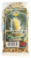 Szczeć pospolita, korzeń szczeci 100g NATURA WITA