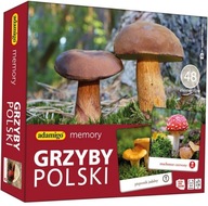 Gra memory Grzyby Polski