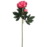 Kwiat sztuczny PIWONIA FUKSJA OMBRE 65 cm
