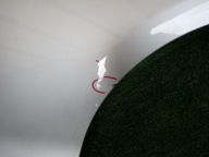BMW F20 F21 1 fender right front front