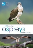 RSPB Spotlight Ospreys Mackrill Tim (Author)