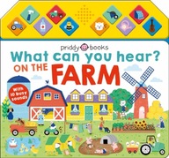 What Can You Hear On The Farm Priddy Books