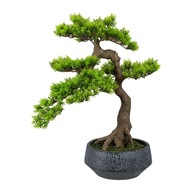 piękne sztuczne drzewko BONSAI Kengai 52 cm iglasty cedr bonzai drzewka