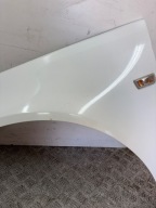 fender front front left OPEL INSIGNIA A