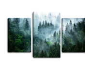 Obraz na plátne les hmla O-20 triptych 120x80