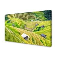 Obraz na płótnie Natura Tarasy rolne 100x80 cm Wzgórza Zielona Kolorystyka