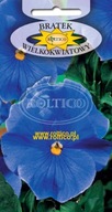 Semená Braček modrý 0,5 g Roltico