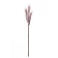Dekoria Pampová tráva 100cm light violet fialová