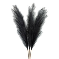 Umelá Pampas Grass ORNA Black, XL, 114cm, 3ks