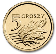 5 gr groszy 2013 - Royal Mint - Mennicza