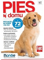 Pies w domu