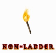DIABLO 2 NON-LADDER RESURRECTED TORCH 20/20 PERF DRUID FÁKLYA PC PS