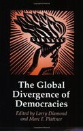 The Global Divergence of Democracies group work