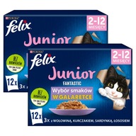 FELIX FANTASTIC Junior Mokra karma Saszetki Kurczak PACK 24x85g