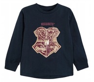 COOL CLUB Bluzka chłopięca długi rękaw Harry Potter r. 110