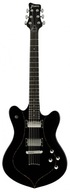 Framus D-Series Artist Line William DuVall