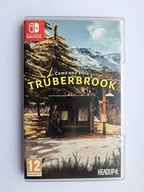 Truberbrook Switch