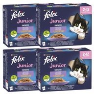 PURINA Felix JUNIOR karma mokra dla kociąt mix smaków 48x85g