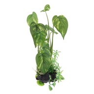 Terrarium dla gadów Siedlisko dla roślin Ukrywanie roślin Akwarium Krajobraz 22cm