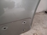 door right front complete RENAULT TRAFIC II 01-14