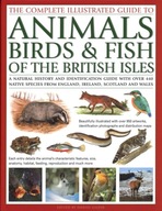 The Animals, Birds & Fish of British Isles,