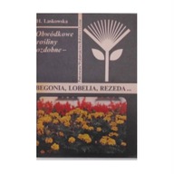 Obwódkowe rośliny ozdobne Begonia,Lobella,Rezeda..