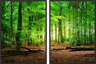 obrázok plagát diptych 50x70 les stromy zeleň príroda