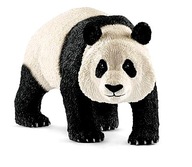 PANDA WIELKA SAMIEC