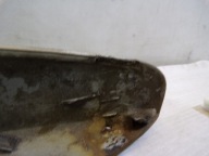 cap bonnet boot KIA CEED 1 and LIFT KOMBI
