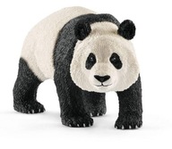 PANDA WIELKA SAMIEC