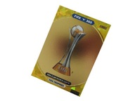 PANINI FIFA 365 2021 KARTY PIŁKARSKIE GOLD FIFA TROPHIES 393 CLUB WORLD CUP