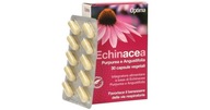 Echinacea Kapsule 30ks Optima