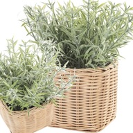 Roślina ozdobna sztuczna koszyk wiklina dekoracja trawa