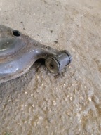 AUDI A6 C6 arm rear right rear part right