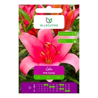 LILIOM ÁZSIAI PINK COUNTY RÓZSASZÍN LEGUTKO 1 DB