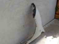 185 NISSAN JUKE F15 fender left front front
