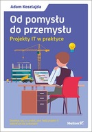 Od przemysłu do przemysłu. Projekty IT w praktyce.