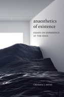 Anaesthetics of Existence: Essays on Experience