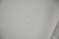 bonnet RENAULT SCENIC III 3 TED11