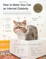 How to Make Your Cat an Internet Celebrity: A