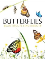 Butterflies: Beautiful Flying Insects Photopoulos