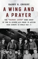 A Wing and a Prayer: The Bloody 100th Bomb Group of the Us Eighth Air Force