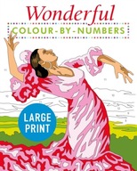 Wonderful Colour by Numbers Large Print: Easy to