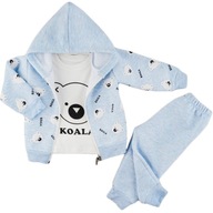 Komplet dziecięcy Koala - bluza spodenki bluzka 80