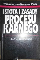 Istota i zasady procesu karnego - Murzynowski