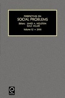 PERSPECTIVES IN SOCIAL PROB HOLSTEIN